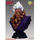 Street Fighter Bust Akuma Sideshow Exclusive